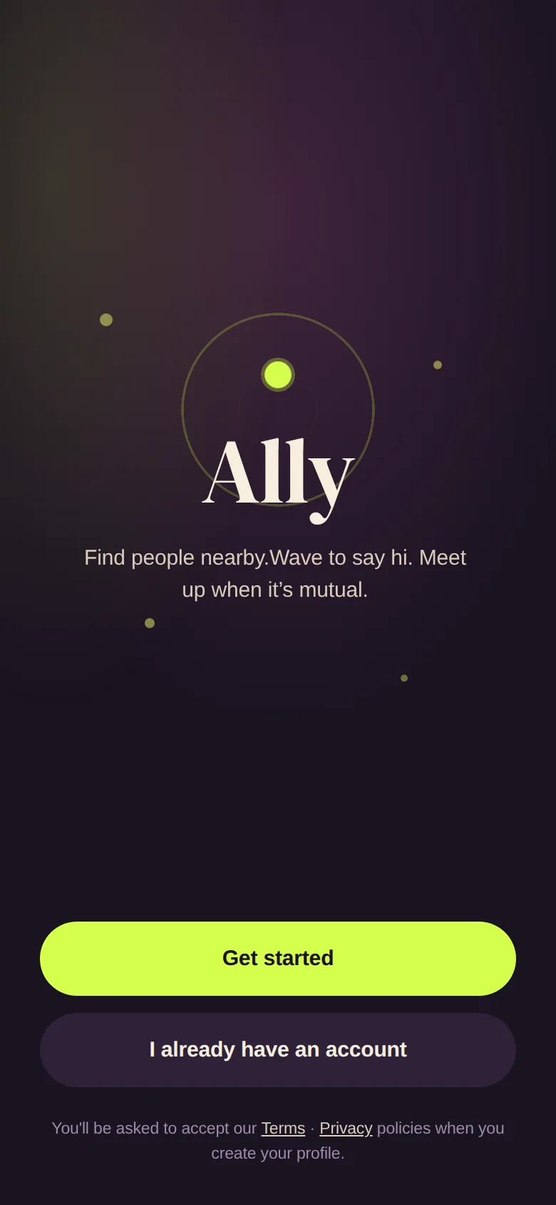 Ally screenshot 1